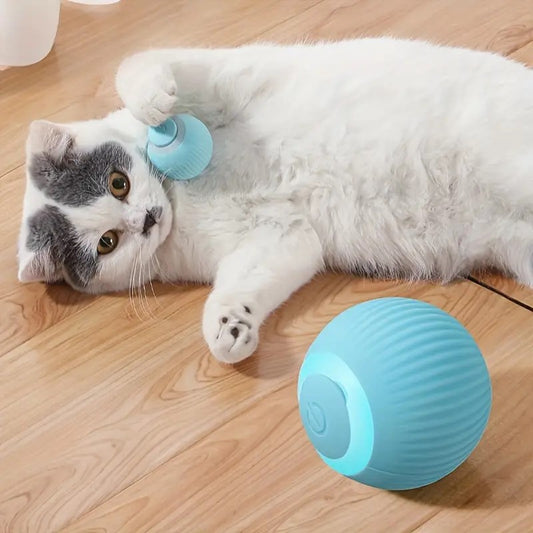 BITS & BOBS: Self Moving Electric Rolling Ball Game (Cat)