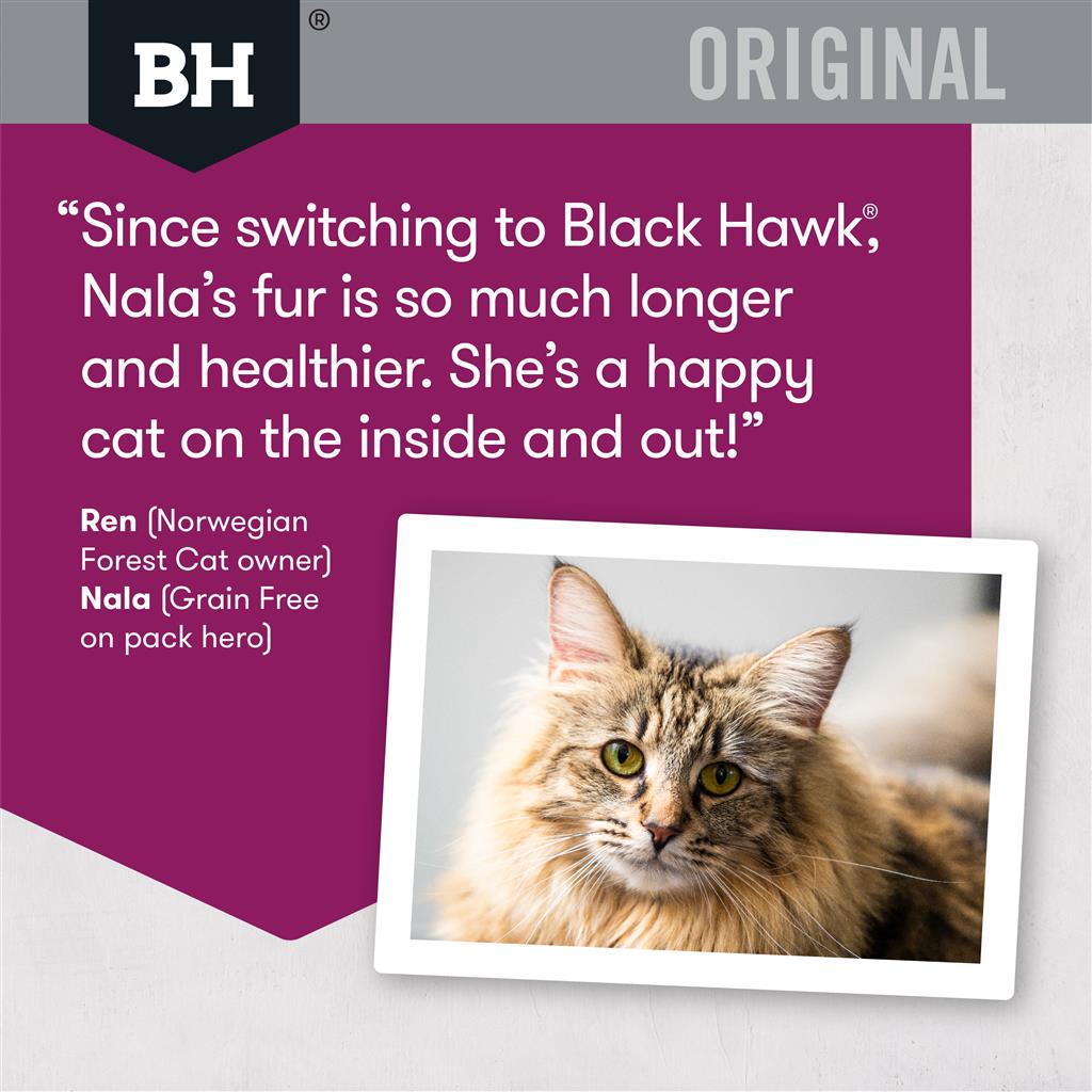BlackHawk: Cat Lamb & Rice