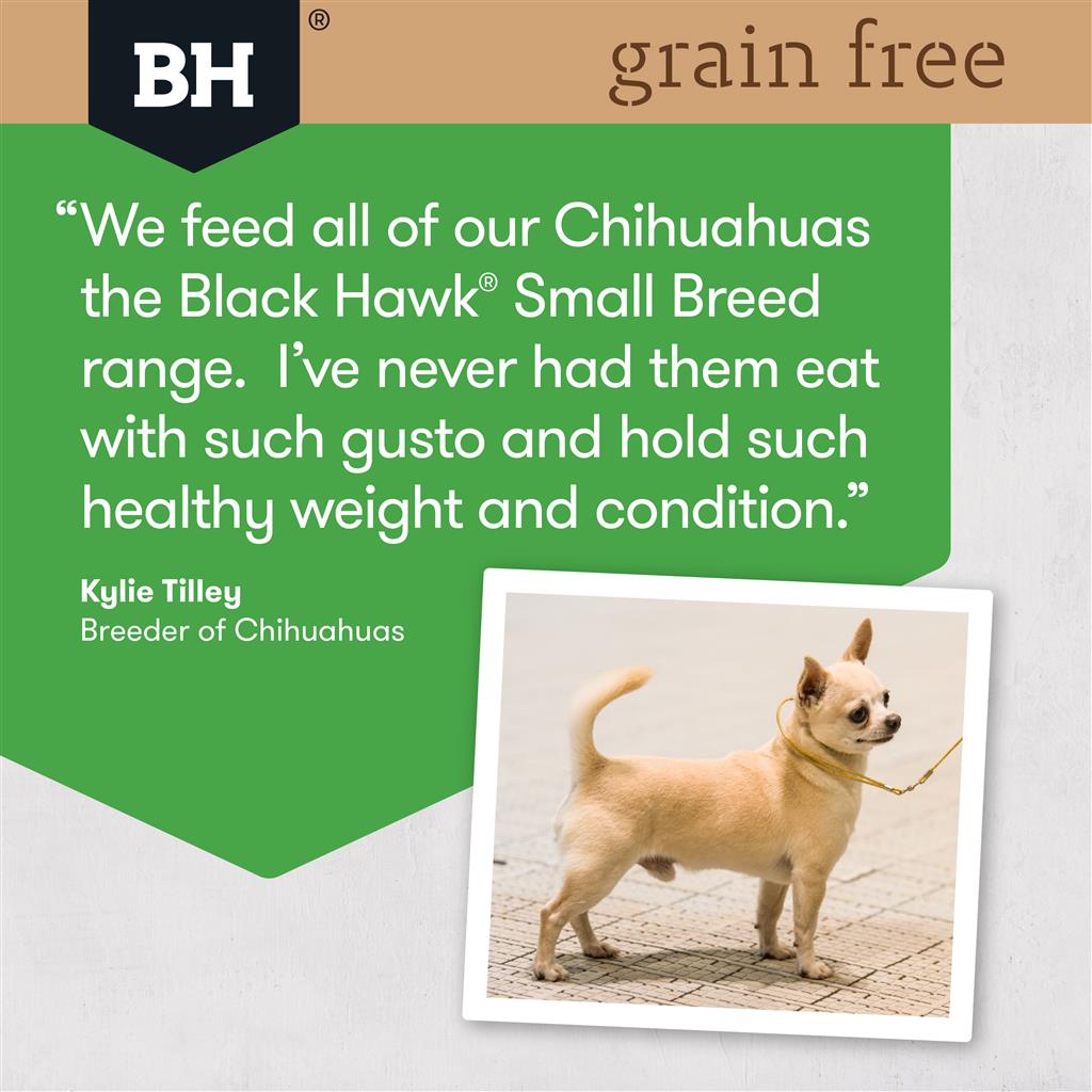 BlackHawk: Dog Small Breed Grain Free Chicken