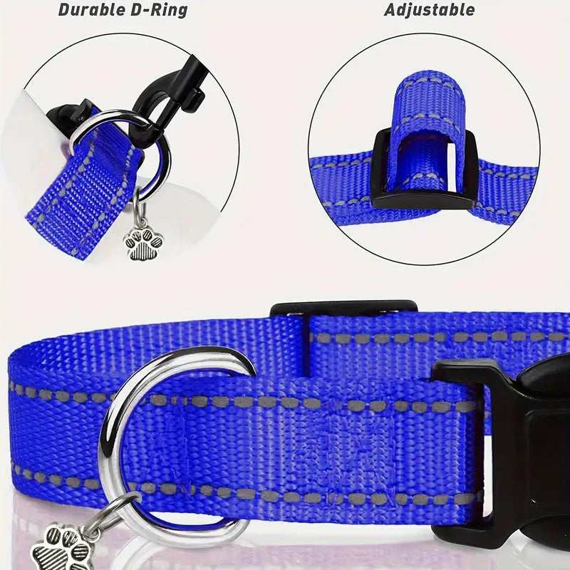 BAB Collar Dog Classic - Purple