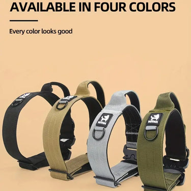 Sturdy Dog Handle Collar - Green by BAB Petwear: