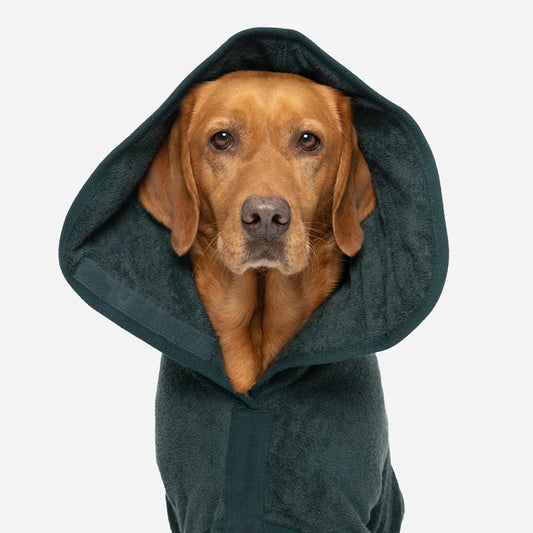 RUFF&TUMBLE: Dog Drying Coat Green