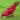 VPET: Waterproof Puffer Jacket with Harness - Red