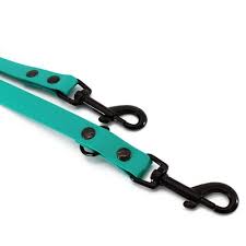 CC Adjustable Dog Lead Biothane