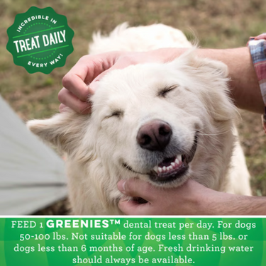 Greenies: Original Large Dental Chews - 340g, 8pc