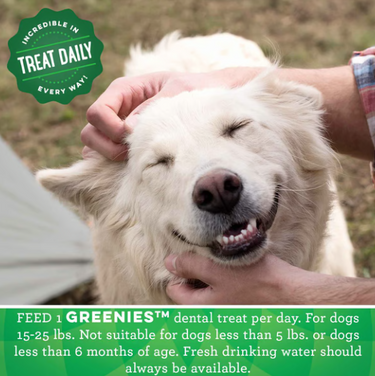 Greenies: Original Petite Dental Chews - 320g 20pce
