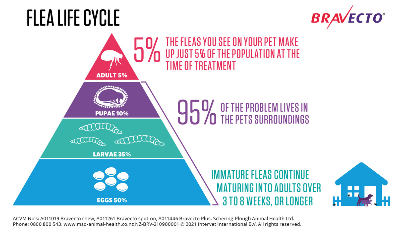 Bravecto: Flea & Tick Spot-On for Dogs