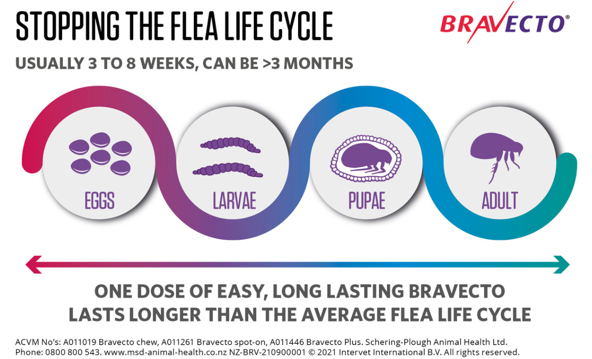 Bravecto: Flea & Tick Spot-On for Dogs