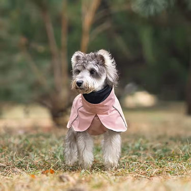 Dog Raincoat - Waterproof  - Pink