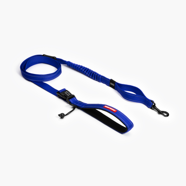 EzyDog Road Runner Hands Free Leash 2.1m Blue