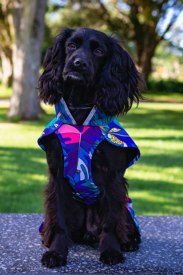 Dog Raincoat Water Proof  - Jungle by Scribbler