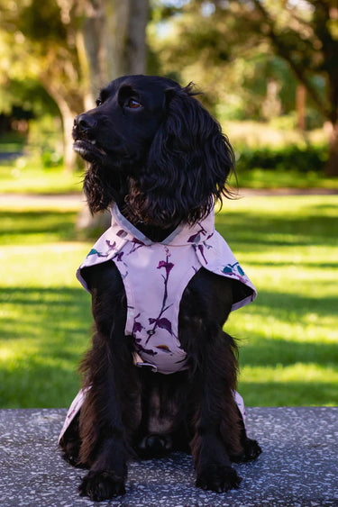 Dog Raincoat Water Proof  - Floral Blush by Scribbler