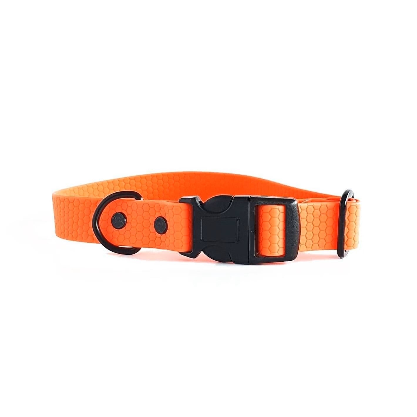 CC Collar Dog Biothane - Teal