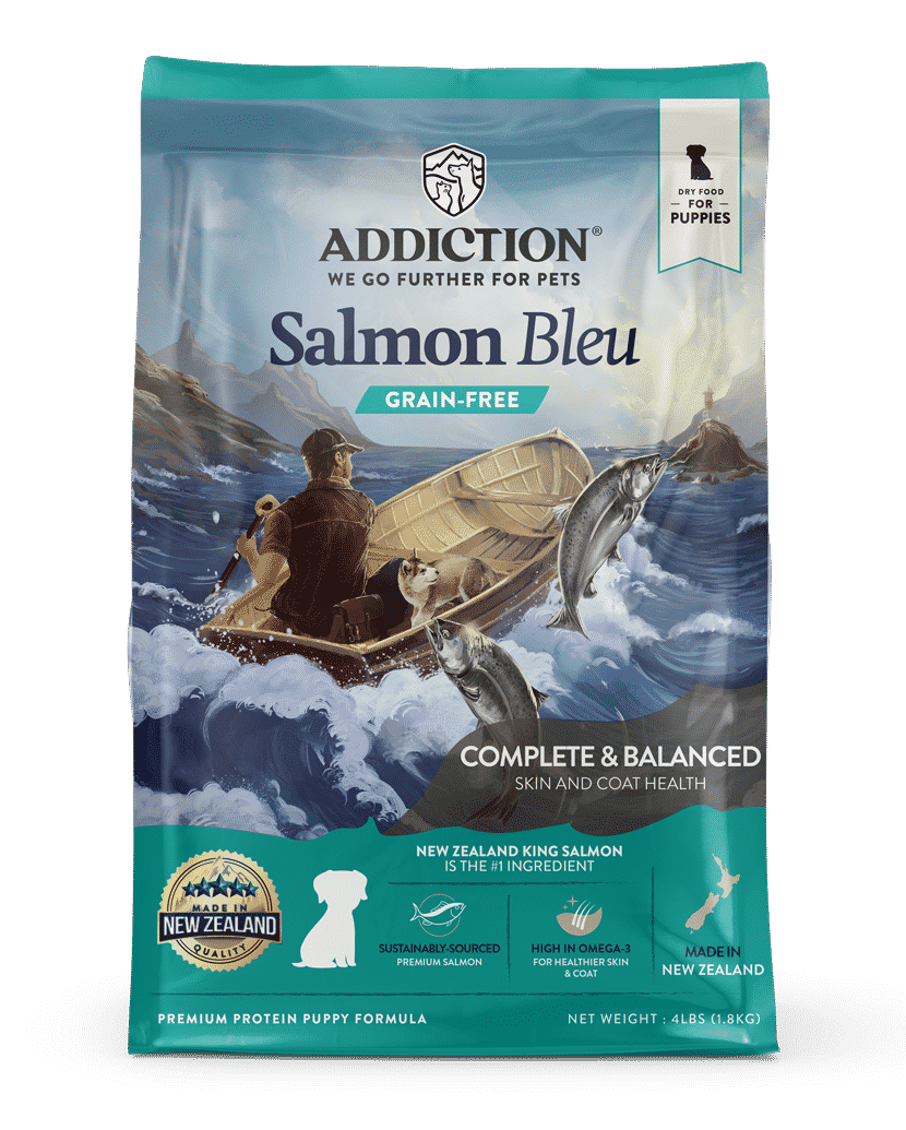 Addiction: Salmon Bleu (Puppy)