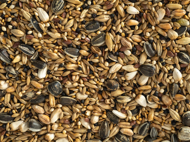 Topflite: Aviary Mix