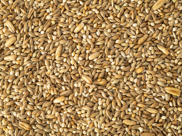 Topflite: Budgie Mix