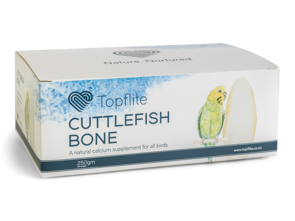 Topflite: Cuttlefish | Bob & Ben The Pet Supplies Men