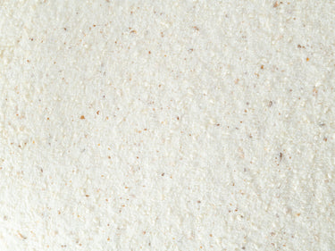 Topflite: Lorikeet Mix Wet