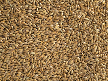 Topflite: NZ Canary Seed