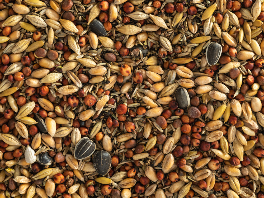 Topflite: Wild Bird Seed Mix Coarse